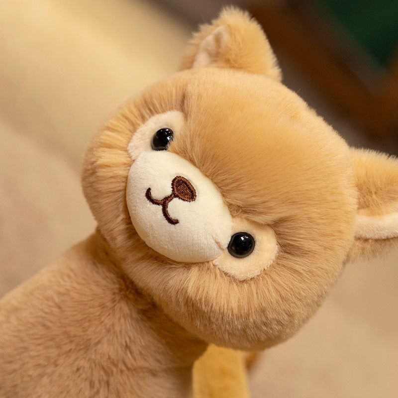 A close-up of the ZoDoll Cute Alpaca Plush Doll, a soft alpaca plush toy featuring round eyes, a small nose, and a stitched smile against a blurred background.